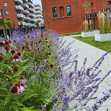 Апартаменти Greennest Inthe Heart Of *